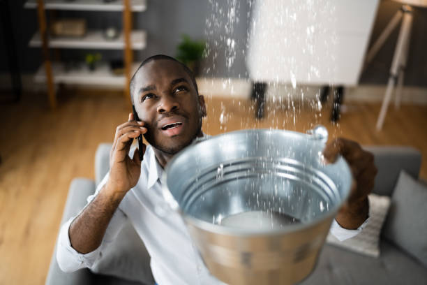 Best Mold removal after water damage  in New Providence, NJ