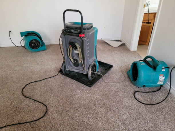 Best Residential water damage restoration  in New Providence, NJ