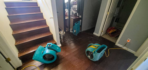 Best Water damage restoration near me  in New Providence, NJ