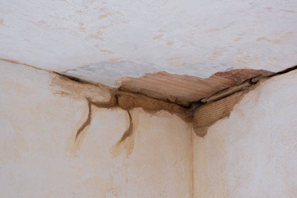 Best Carpet water damage restoration  in New Providence, NJ