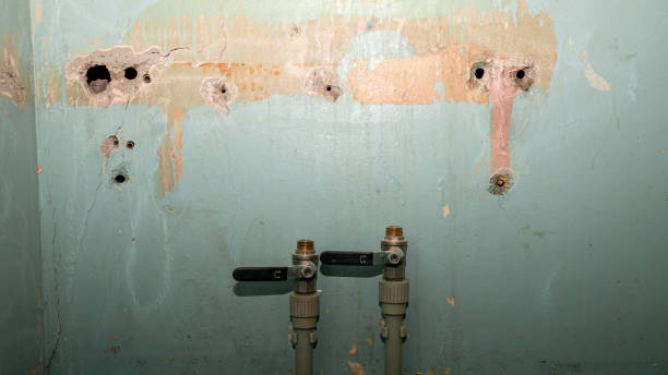  New Providence, NJ Water damage restoration Pros