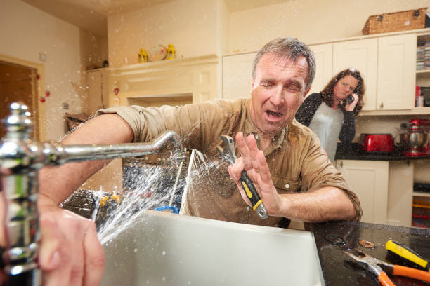 Best Water damage repair service  in New Providence, NJ